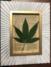 Load image into Gallery viewer, Genuine Hemp Artwork